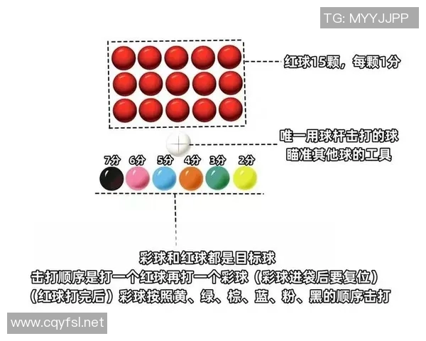 全新比赛规则解析与策略指南，助你轻松掌握赛场技巧
