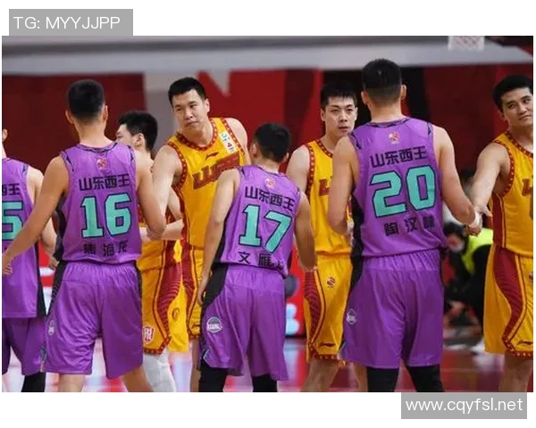 西王篮球俱乐部（山东男篮）CBA球队名单与历史战绩